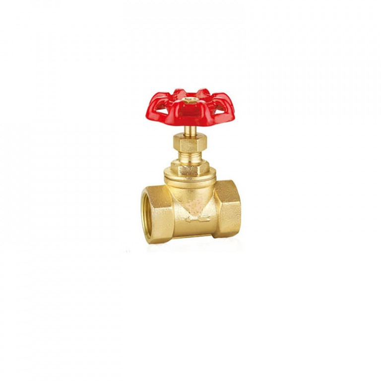 Brass Globe Valve Union